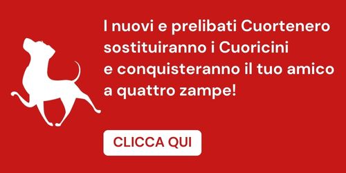 cuoricini futuro