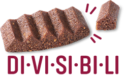 DIVISIBILI