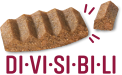 DIVISIBILI