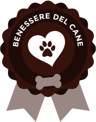 Torte per cani: delizie per i tuoi amici - Zoolandia Market