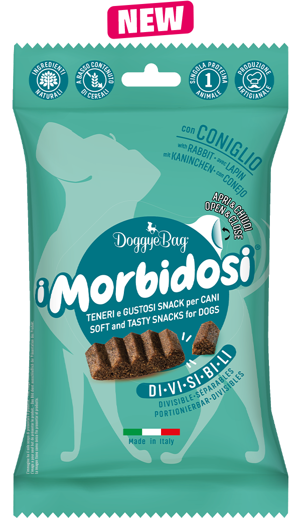 morbidosi coniglio