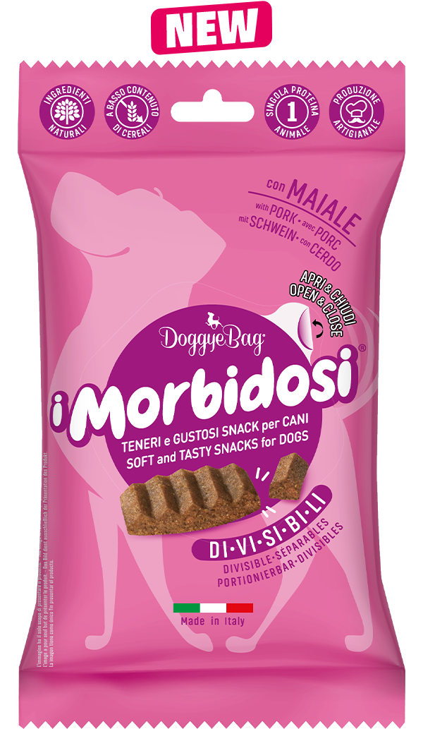 morbidosi maiale